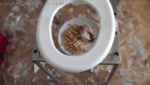 Your Lunch Is Our Toilet